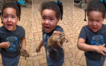 Little girl mourns the supposed demise of her frog