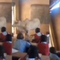 Zealous teacher goes the extra mile to drive home a lesson