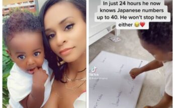 2 year old math genius learns Japanese in 1 day, counts in multiple languages