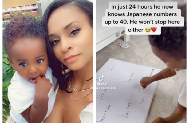 2 year old math genius learns Japanese in 1 day, counts in multiple languages