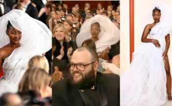 Oops: Tems React to critics of her Oscar outfit | Ikejabird.com