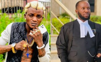 Wahala be like portable: Portable is a lawyer's nightmare, netizens describe portable ; Ikejabird.com