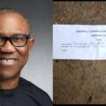 She's just 10: Pupil is asked to leave school for supporting Peter Obi | Ikejabird.com