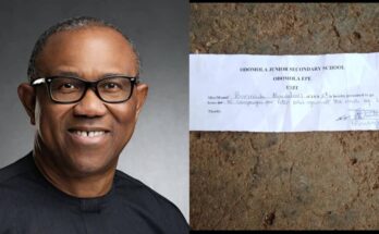 She's just 10: Pupil is asked to leave school for supporting Peter Obi | Ikejabird.com
