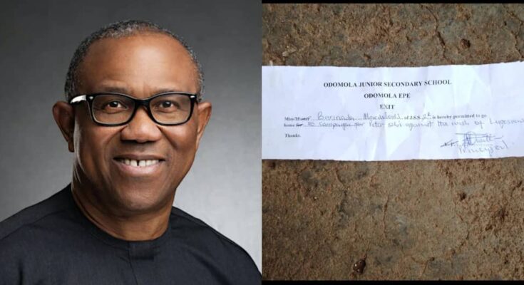 She's just 10: Pupil is asked to leave school for supporting Peter Obi | Ikejabird.com