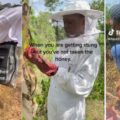 Beautiful beekeeper gets stung by bees while trying to extract honey | Ikejabird.com