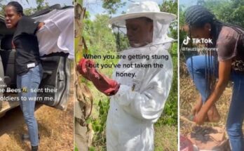 Beautiful beekeeper gets stung by bees while trying to extract honey | Ikejabird.com