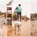 Nigerian man does stand tall on horse running |ikejabird.com