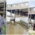US based Nigerian woman curses brother for not building her house |ikejabird.com