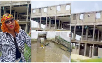 US based Nigerian woman curses brother for not building her house |ikejabird.com