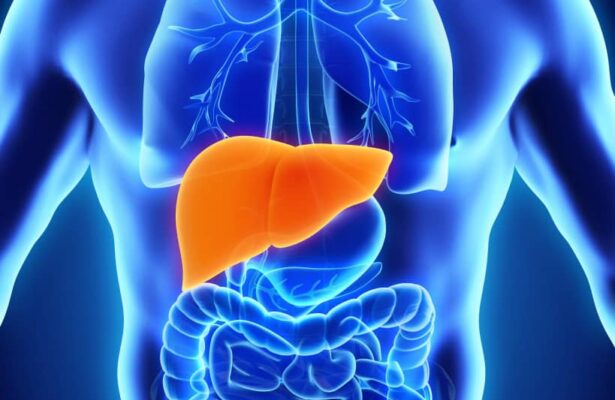 What is life? It depends on the Liver: You can't afford to shut down that factory! | Ikejabird.com