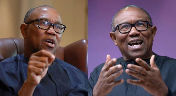 Peter Obi speaks on arrest and accusation | ikejabird.com