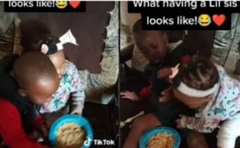 Nigerian brother and sister struggle over plate of food |Ikejabird.com