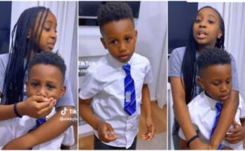 Little siblings argue with mum to prove their innocence over sofa pen marks | Ikejabird.com