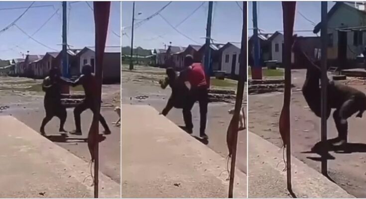 Woman wrestles man WWE style and throws him to the ground in  fierce fight | Ikejabird.com