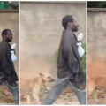 Dog follows mad man |Ikejabird.com