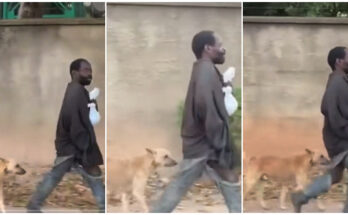 Dog follows mad man |Ikejabird.com