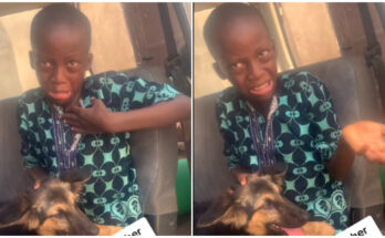 Young boy wails as dog was placed on his leg |Ikejabird.com