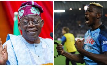 Baba wey sabi: Bola Ahmed Tinubu congratulates Victor Osimhen, calls him 'Idan gan gan'