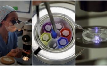 First baby born with 3 DNA's instead of 2: 99.9% from parents, 0.1% from a third person – another woman | Ikejabird.com