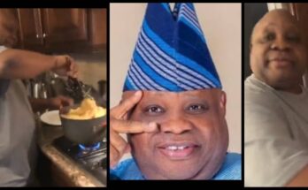 Governor wey sabi cook: Governor Adeleke shows off his culinary skills in viral video:ikejabird.com