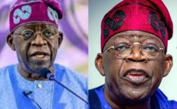 E no go work: Foreign, local agents plan against Tinubu's inauguration:ikejabird.com