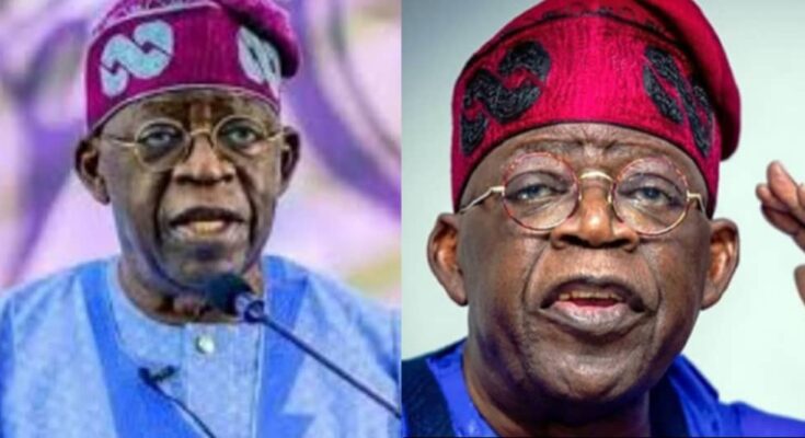 E no go work: Foreign, local agents plan against Tinubu's inauguration:ikejabird.com