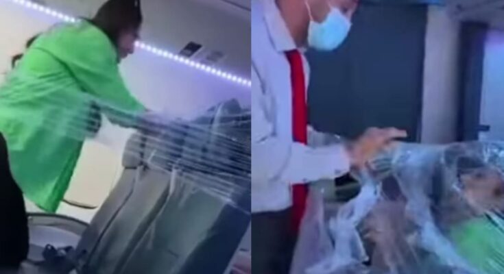 Wahala Promax: Lady creates business class suite with nylon in aircraft:ikejabird.com