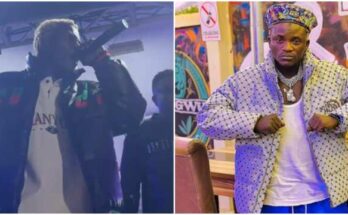 Portable weeps as crowd steal from him as he jumps towards them during performance
