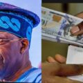 Naira/dollar exchange