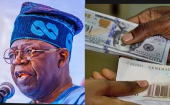 Naira/dollar exchange