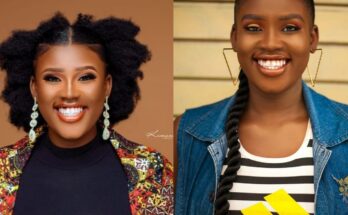Is it because you are Igbo? Netizens react to Nigerian representative being denied visa:ikejabird.com