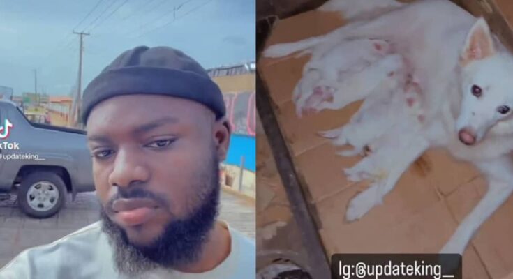 Is time to parry: Nigerian man plans a naming ceremony for his puppies :ikejabird.com