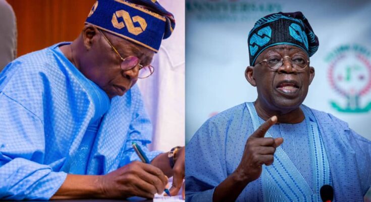 Nigerian student rejoices: President Tinubu signs student loan bill into law:ikeja bird.com