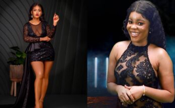 Phyna, the winner of Big Brother Naija Season 7, is currently facing backlash from Nigerians for the bad comments she made towards Chi-chi during the show's reunion about her dead child:ikejabird.com