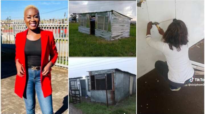 Creative lady buys land, uses roofing sheets as blocks to build small house