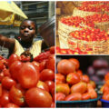 Nigerian pepper sellers explain reason why tomato is expensive |Ikejabird.com