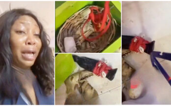 Lady weeps as she sees fetish items in her boyfriend's home |Ikejabird.com