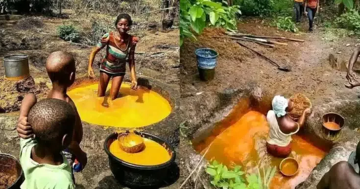 Cringe-worthy photo of how palm oil processing emerges, netizens  react