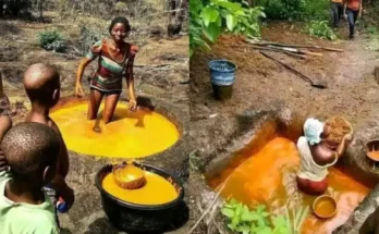 Cringe-worthy photo of how palm oil processing emerges, netizens react