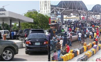 Removal of Fuel Subsidy: What Can Nigeria Government And Citizens Do | Ikejabird.com