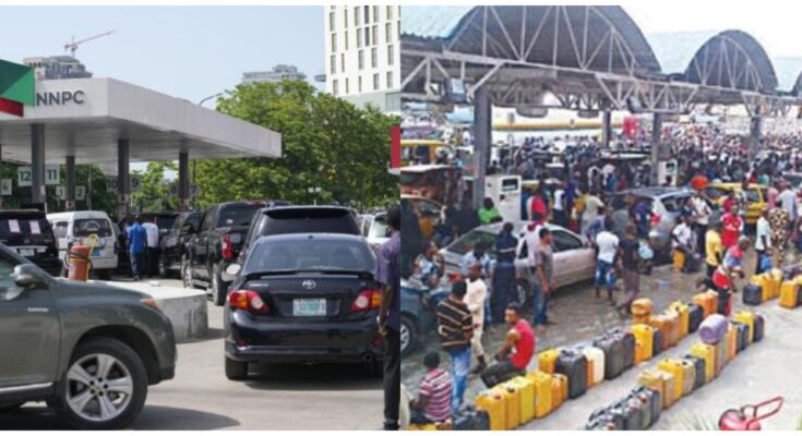Removal of Fuel Subsidy: What Can Nigeria Government And Citizens Do | Ikejabird.com