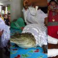 Why tie the mouth of the bride: mexican mayor marries female reptile:ikejabird.com
