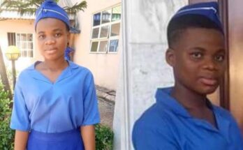 Jamb result fraud: 10 things you should know about Mmesoma Ejikeme:ikejabird.com
