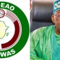 ECOWAS of People: President Bola Ahmed Tinubu reveals his economic and political plans for ECOWAS | Ikejabird.com