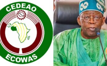 ECOWAS of People: President Bola Ahmed Tinubu reveals his economic and political plans for ECOWAS | Ikejabird.com