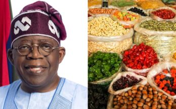 Tinubu Declares State Of Emergency On Food Security:ikejabird.com