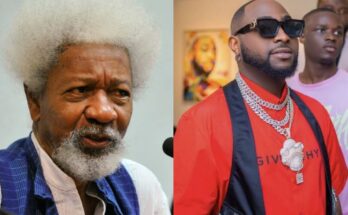 Jaye Lo video: Don't apologize to the Muslims- Wole Soyinka tells Davido:ikejabird.com