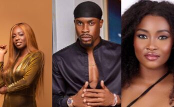 Big Brother Naija All Stars Drama: TolaniBaj, Ilebaye clash over Neo:ikejabird.com