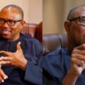 We have no other country except Nigeria: Highlights of Peter Obi on parallel facts | Ikejabird.com
